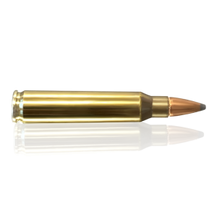 Load image into Gallery viewer, Fiocchi 223 Hunting 55gr Soft Point