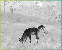 Load image into Gallery viewer, PIXFRA MILE 2 200 SERIES THERMAL MONOCULAR RANGE