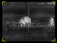 Load image into Gallery viewer, PIXFRA CHIRON C435 1800M THERMAL SCOPE