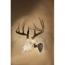 Load image into Gallery viewer, Skull Hooker® Get Your Head on Right!